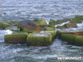 photo de kite