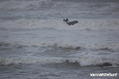 photo de kite