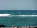 photo de kite