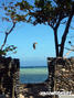 photo de kite