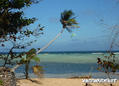 photo de kite