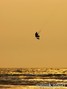 photo de kite
