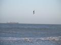 photo de kite