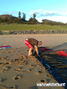photo de kite