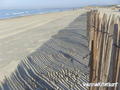 photo de kite