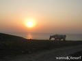 photo de kite