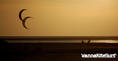 photo de kite
