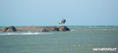photo de kite