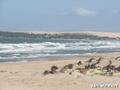 photo de kite
