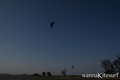 photo de kite